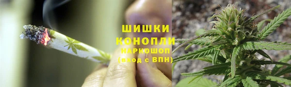 молекула духа Верхний Тагил