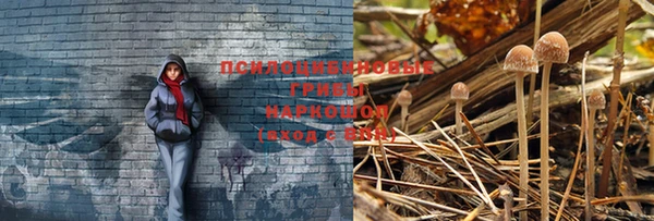 молекула духа Верхний Тагил
