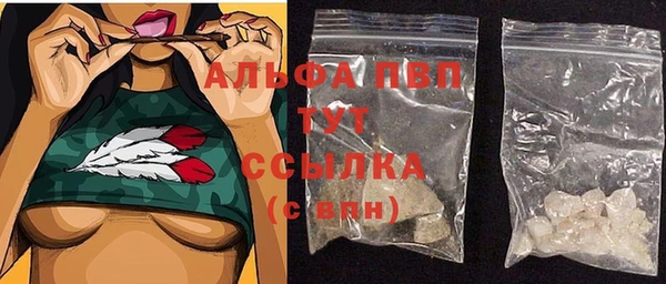 стафф Осташков