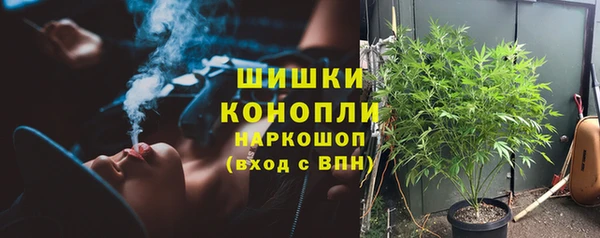стафф Осташков